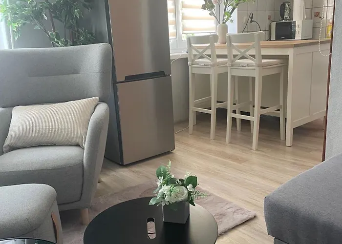 Tiny Studio Pyskowice With Parking